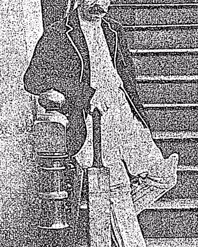 Arnold Williams