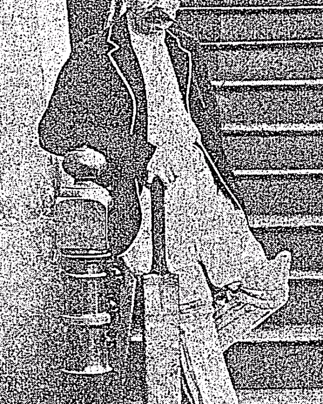 Arnold Williams