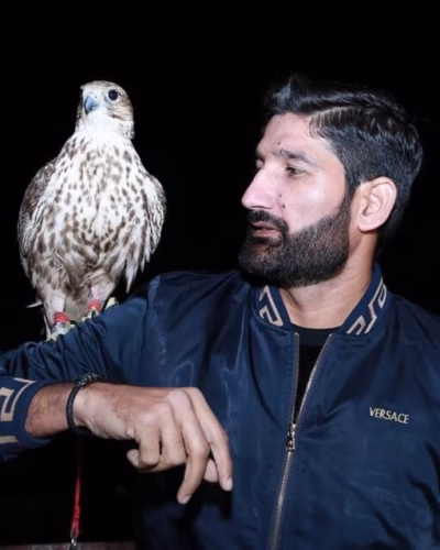 Sohail Tanvir